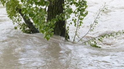 ГСЧС предупреждает: в реках Прикарпатья ожидается подъем уровня воды