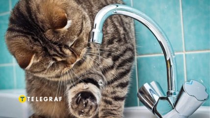 Нет воды в кране