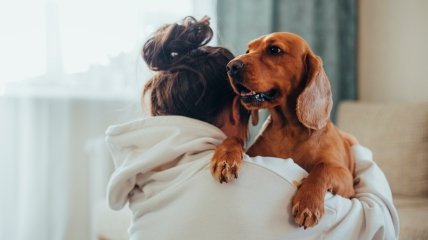 Символ свята — відкрите серце