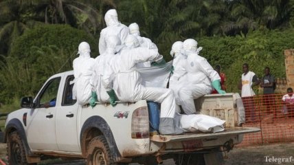Количество больных лихорадкой Эбола может достичь 20 тысяч