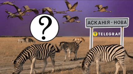 Асканія-Нова