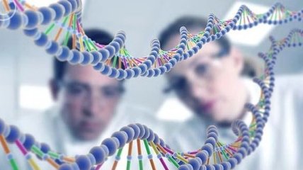 Ученые обнаружили связь генома с выбором политических убеждений