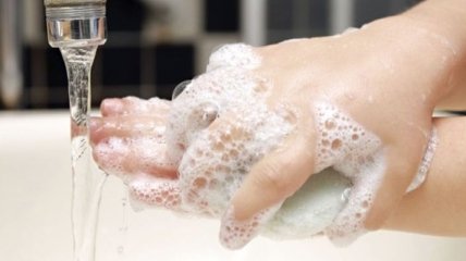 Ученые подсчитали, что 95% взрослых не умеют мыть руки