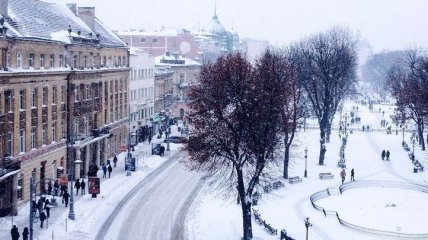 Непогода в Украине: снегоуборочная техника Львова будет работать круглосуточно