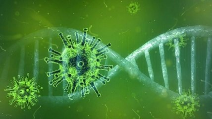 "Обнадеживающая" мутация: в геноме коронавируса нашли первое большое изменение 