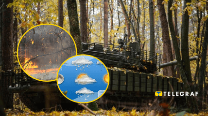 Природа в Україні потерпає від війни, чи впливає це на глобальну погоду