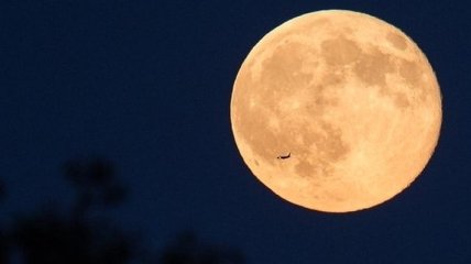 Ученые из Франции опровергли гипотезу происхождения Луны