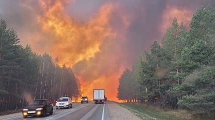 Лесные пожары охватили россию