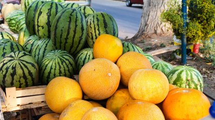 Баштанні культури