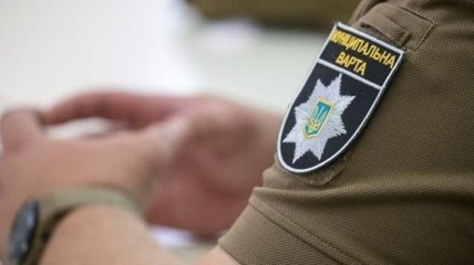 Киевсовет поддержал создание муниципальной охраны