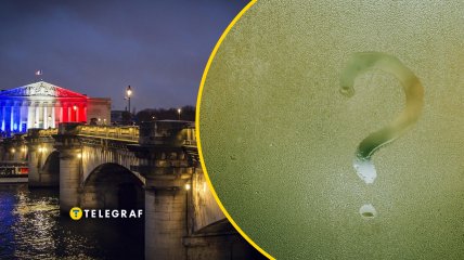 Жизнь во Франции