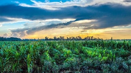 Процентная ставка на покупку земли будет существенно снижена