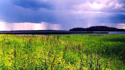 Погода в Украине 23 июня: ожидается теплая погода, местами грозы