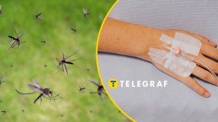 Цей кровопивця може вкласти на лікарняне ліжко