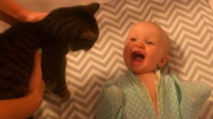 Забавная реакция 10-месячного малыша на появление кота (Видео)