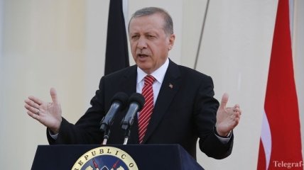 Эрдоган: Турция удерживает 20 боевиков "ИГ", причастных к теракту в Стамбуле