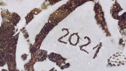 В чем встречать Новый 2021 год: советы астролога и идеи нарядов для каждого знака зодиака (фото)