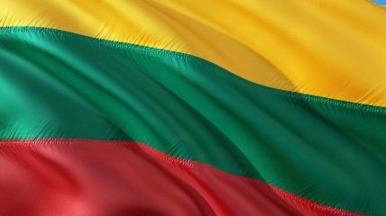 МИД Литвы сделал заявление о "выборах" на Донбассе