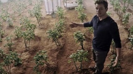 Ученые доказали, что можно выращивать овощи на Марсе