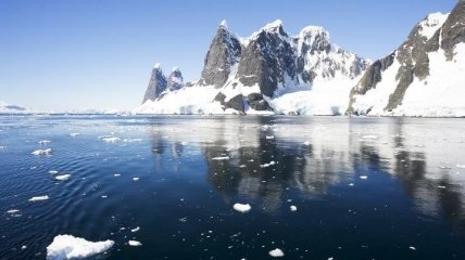 Жизнь на дне Антарктики показали на видео