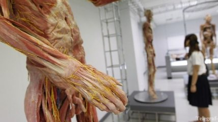 Украинцы увидят уникальную выставку человеческих тел
