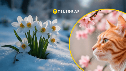 Прогноз на март 2026