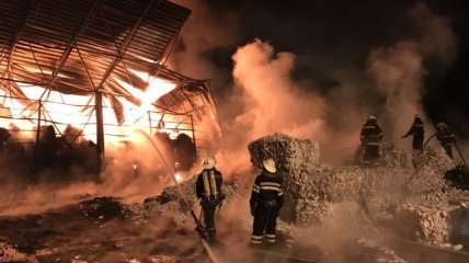 На Харьковщине произошел масштабный пожар на предприятии