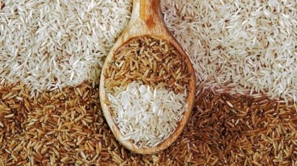 Чем отличается коричневый рис от белого: польза и вред