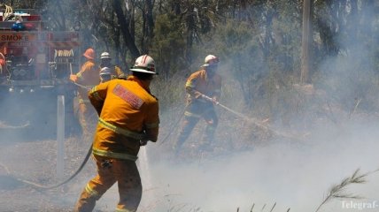 В Новой Зеландии из-за лесных пожаров эвакуировали 3 тысячи людей