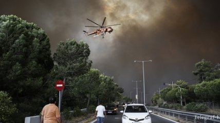 Лесные пожары в Греции унесли жизни 10-ти человек 