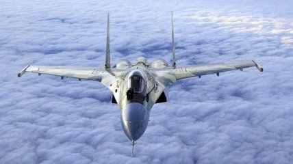 Опубликованы снимки перехвата самолета США истребителем РФ