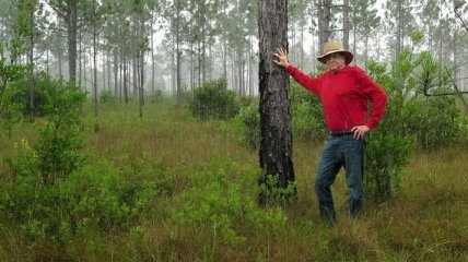 Удивительный человек, который высадил 8 млн деревьев (Фото)  