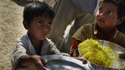 Почти 3 млрд человек в мире страдают от голода