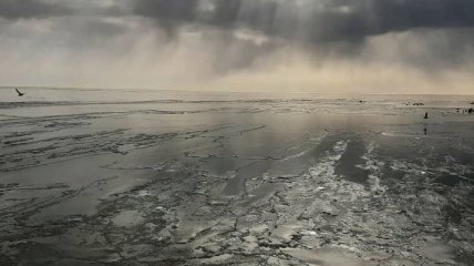 Азовское море замерзло из-за аномальной зимы (фото и видео)