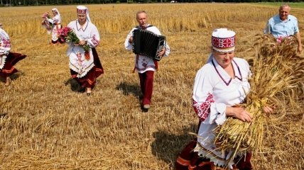 Массовая уборка зерновых началась в Белоруссии