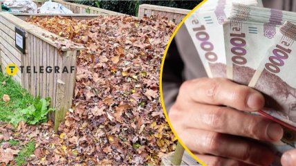 Весенняя привычка, которая может уничтожить природу
