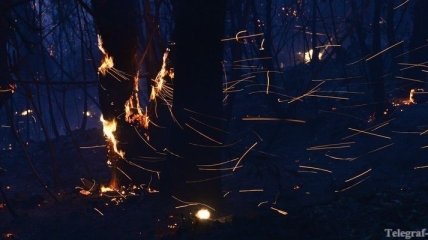 Сильный лесной пожар бушует у австралийского города Перт