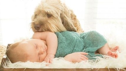 Невозможно очаровательные новорожденные детки со своими собаками (Фото)