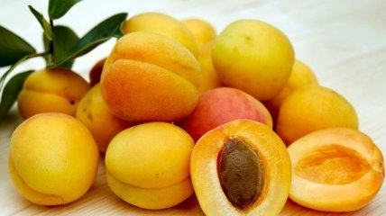 Эксперты рассказали о пользе абрикосов для здоровья