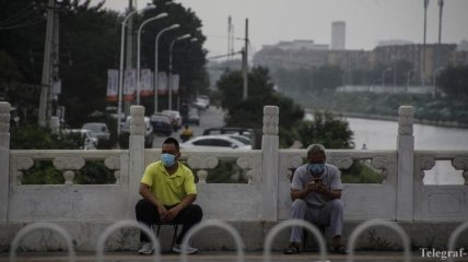 Пандемия: ВОЗ обратилась к миру с призывом больше не вводить карантин