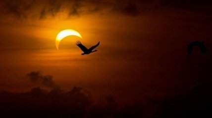 NASA будет транслировать самое длинное солнечное затмение 