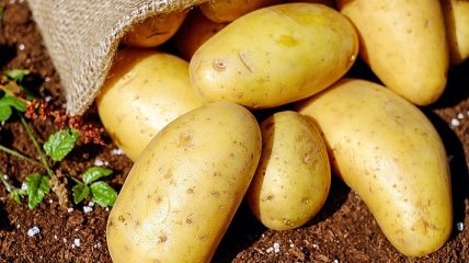 Импорт картофеля: Украина побила рекорд ноябрьского показателя