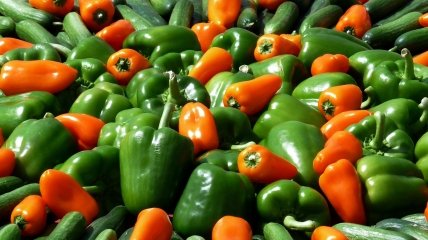 Солодкий перець — один із найпопулярніших овочів