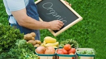 Органическую продукцию в Украине можно выращивать рядом с ГМО