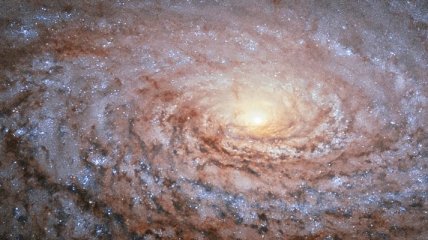Телескоп Hubble показал космический "подсолнух"  