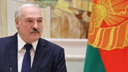 "Доктор популизма": в сети обсуждают лишение Лукашенко научного звания