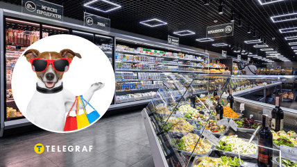 Собака в магазине