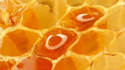 Мед и желатин помогут больным суставам
