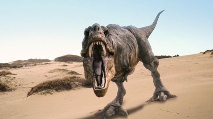 Ученые выяснили, почему вымерли динозавры