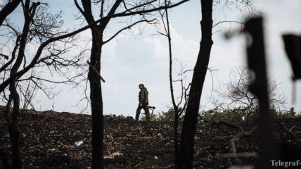 СНБО: Террористы обстреляли свой батальон